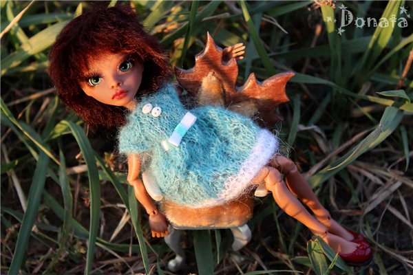 Амигатомания набирает обороты (фото 9)