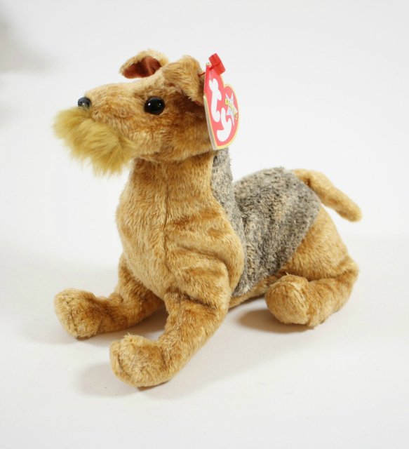 Пегий пёс, бегущий краем моря