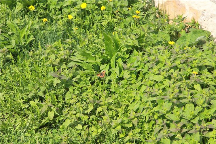 Путешествие в Старицу накануне Светлой Пасхи. Часть первая