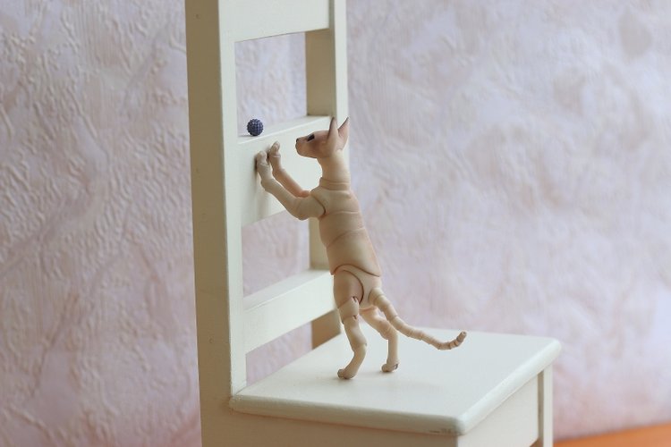 Кот играет с мячиком — Разные куклы BJD (БЖД): редкие бренды (фото 3)
