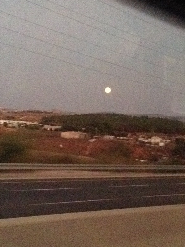 Белое солнце пустыни. Ч.1 Дорога к морю