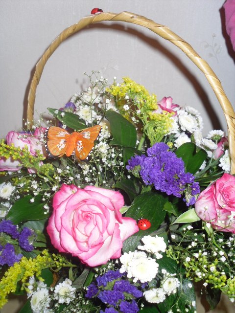 Девчонки и мальчишки, любимые мои