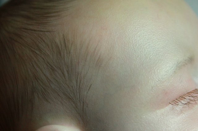 Мои двойняшки-кукла реборн Элины Кудрявцевой