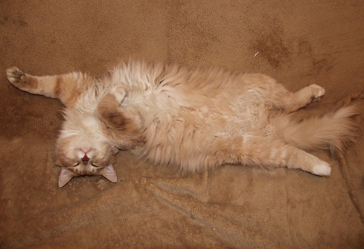 Уголочки мои драгоценные-2. Год спустя. Часть первая, БЖД-шная )