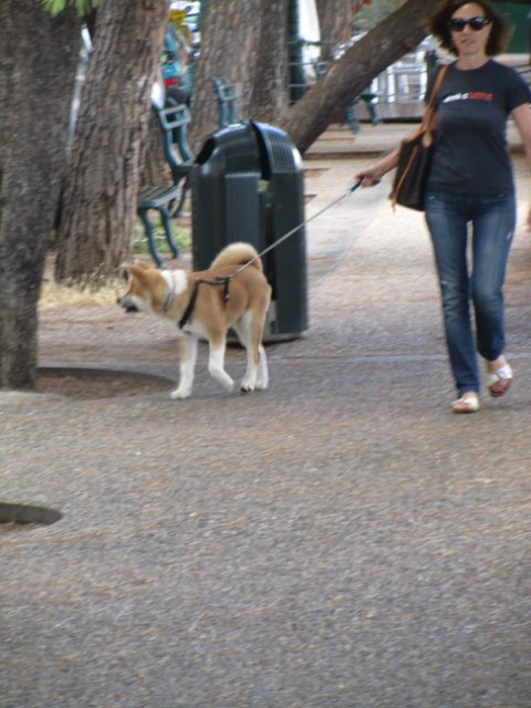 "Моя Италия". Часть 1 - Генуя