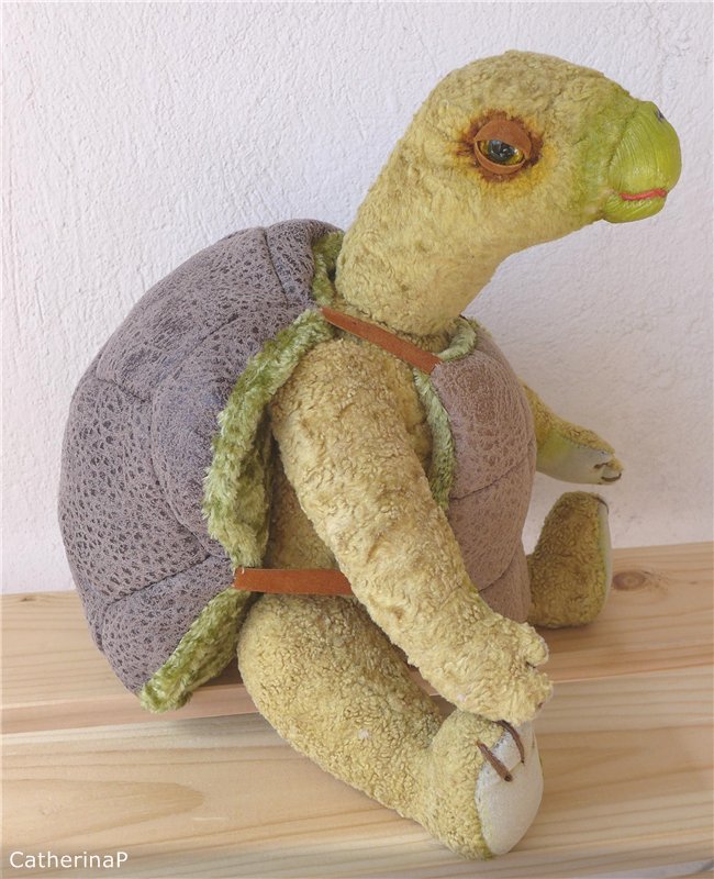 Рожденный ползать летать мечтает (фото 2)