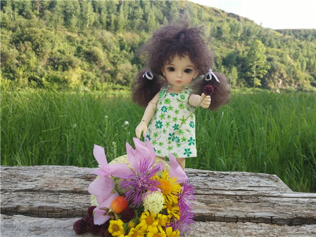 Однажды летним жарким днем.... Как Ева к конкурсу готовилась