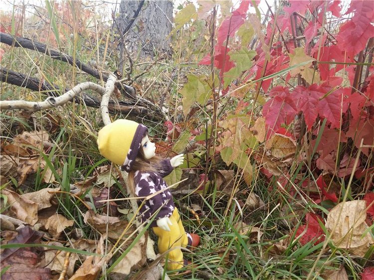 Осенний олененок — Куклы Fairyland (ФэйриЛэнд): BJD (БЖД) (фото 9)