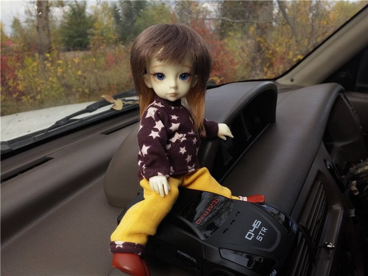 Осенний олененок — Куклы Fairyland (ФэйриЛэнд): BJD (БЖД) (фото 2)