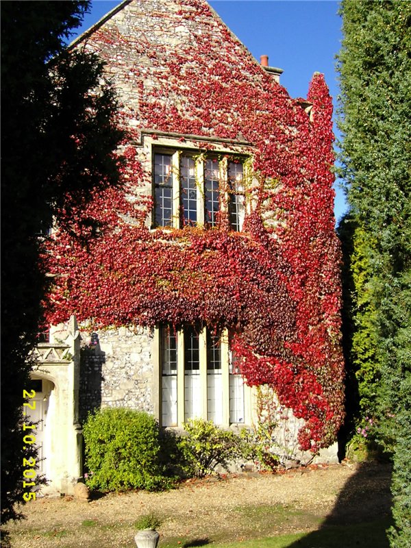 Солсбери (Salisbury) – небольшой городок на юге Англии