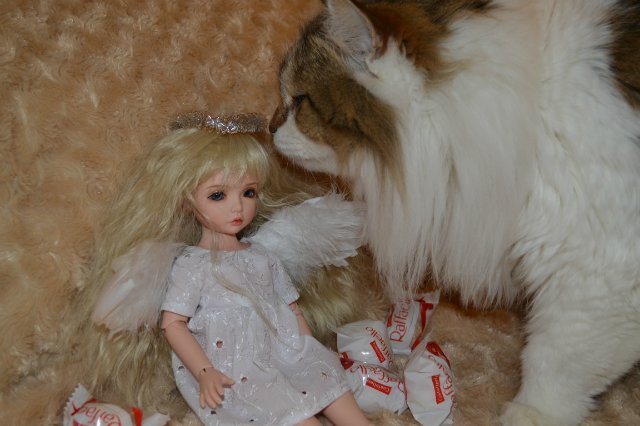 Крылья ангела — Куклы Iplehouse (Иплхаус): BJD (БЖД)