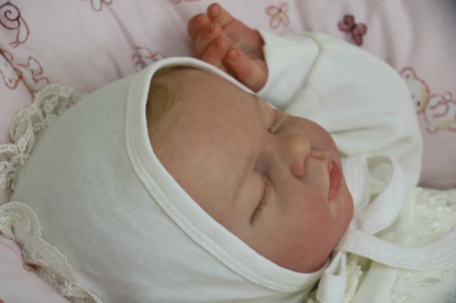 Ноашечка. Куколка реборн Виктории Вишни