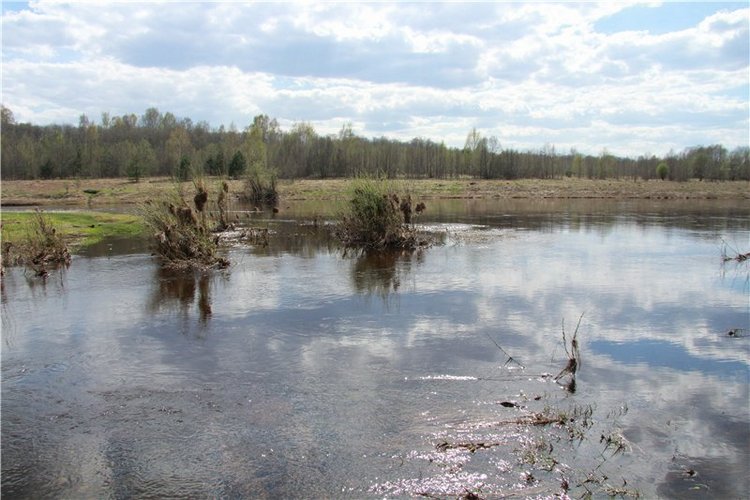 На водопад с Райли. Riley от автора Helen Kish