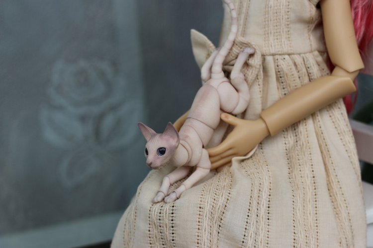 Жизнерадостный Кот и мечтательная Лайла