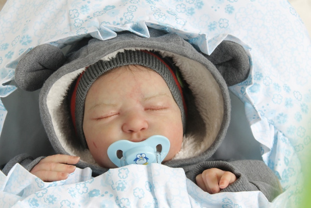 Сиренити от Екатерины Бойковой. Serenity Laura Lee Eagles