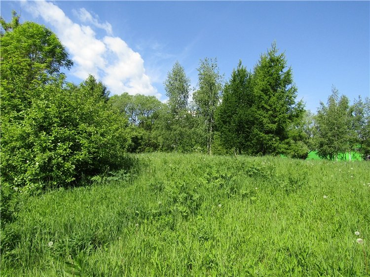 Непоседа Бетси Robert Tonner. Летний день в парке (фото 2)