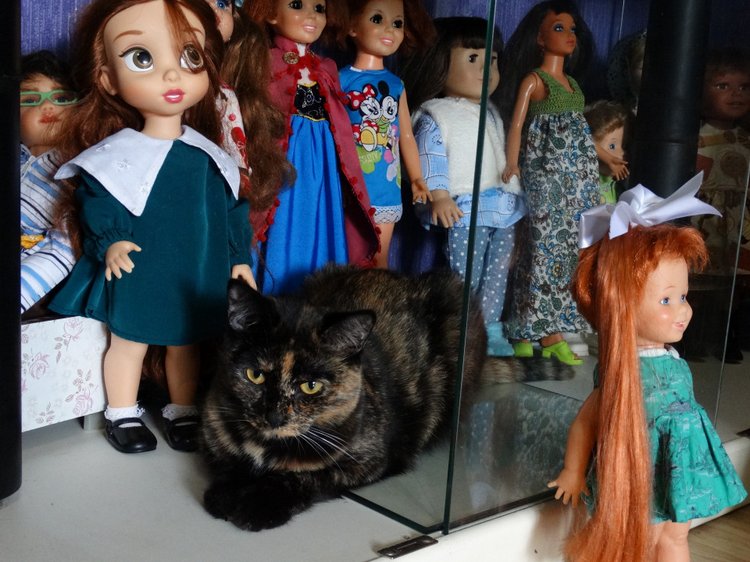 Мохнатые помощники — В мире животных: смешные фото питомцев и зверей (фото 3)