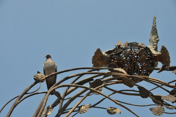 Прогулка — Куклы и тела Obitsu (Обитсу): 1/6 (фото 3)