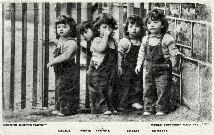 История трагической жизни, ставшая фурором кукольного мира . Часть 3 Заключение