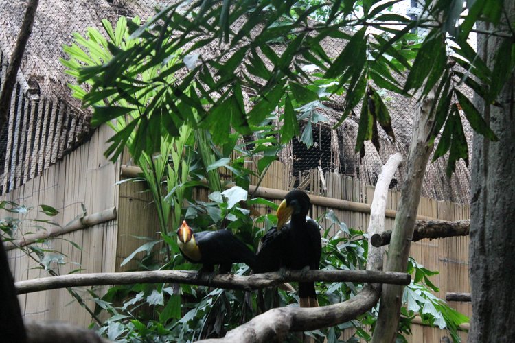 По Германии: зоопарк Лейпцига, часть 2