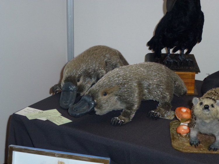 VIII Московская международная выставка - Искусство куклы 2017