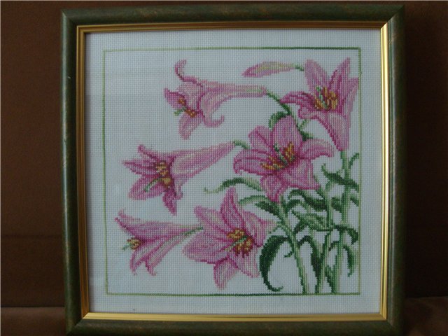 Еще одно мое увлечение — Другие хобби и увлечения: сад (фото 6)