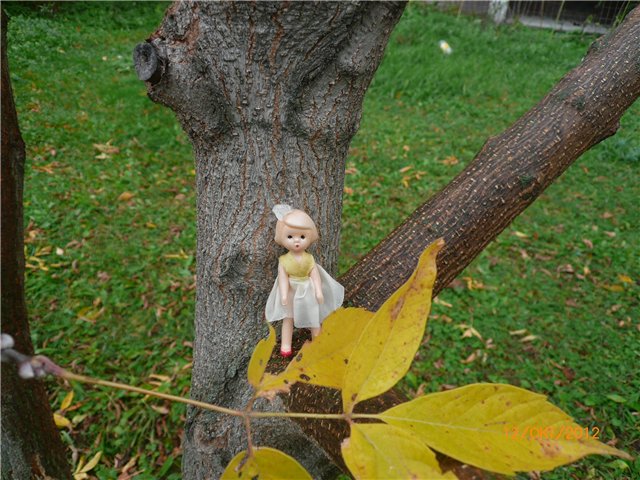 Дождик, Дождик, веселей, капай, капай не жалей ;) (фото 4)