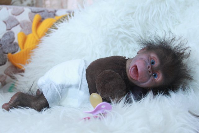 Манюня - обезьянка реборн Элины Кудрявцевой (фото 8)