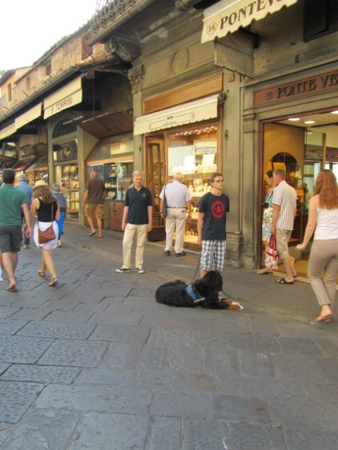 "Моя Италия". Часть 4 - Флоренция (продолжение)