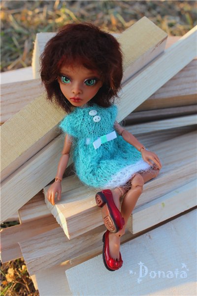 Амигатомания набирает обороты (фото 6)