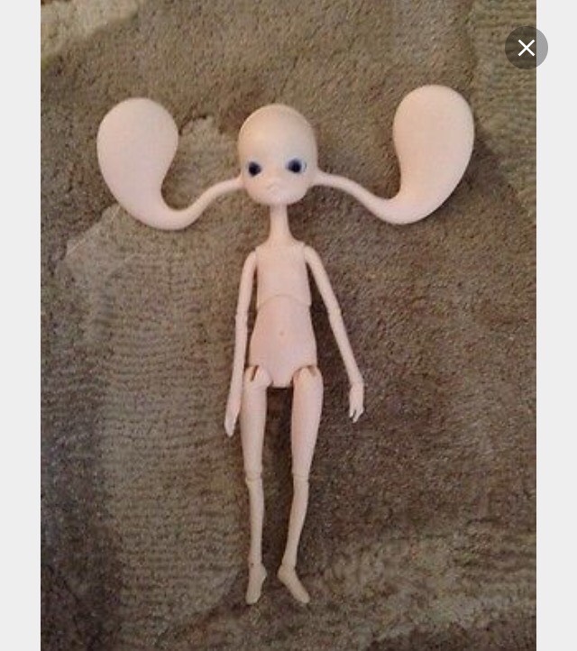 Подскажите какое тело подойдёт для гибридизации долзоновмкого Рафаэля бейби (фото 2)