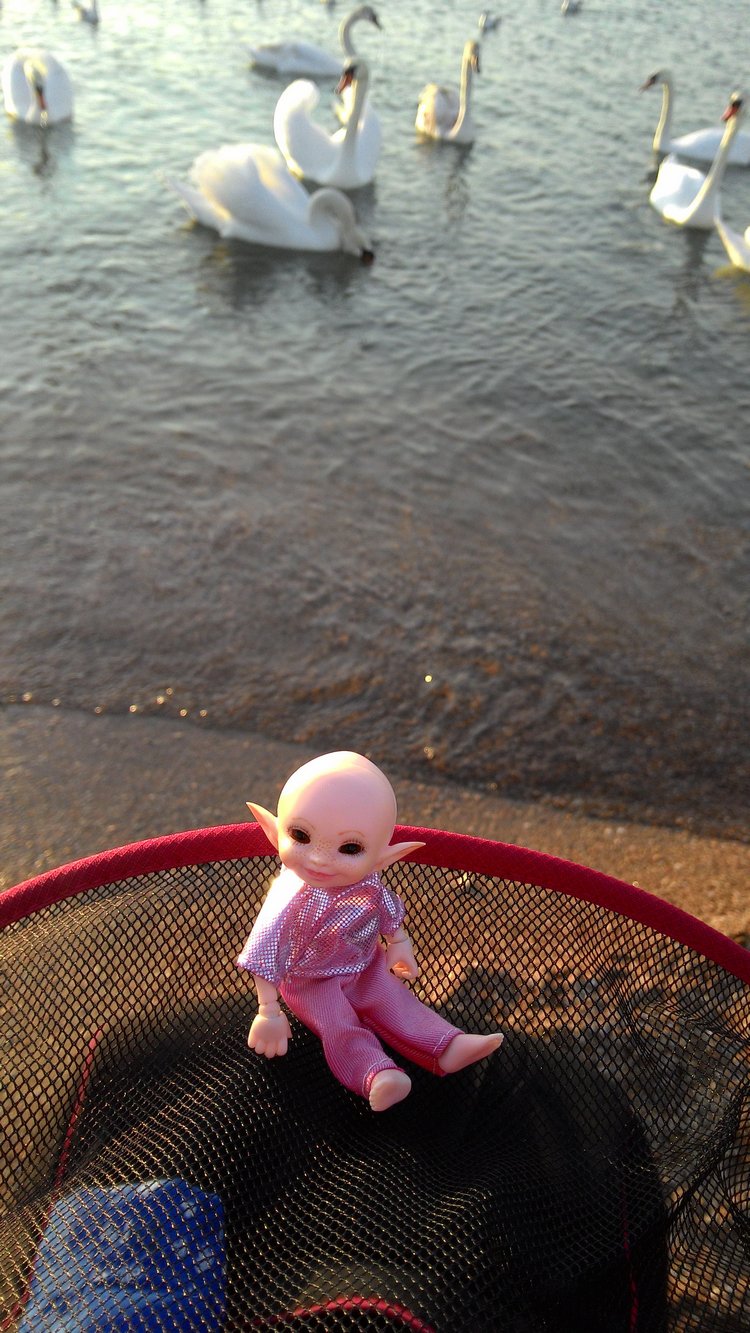 Кто живет в моей сумке — Куклы Fairyland (ФэйриЛэнд): BJD (БЖД)