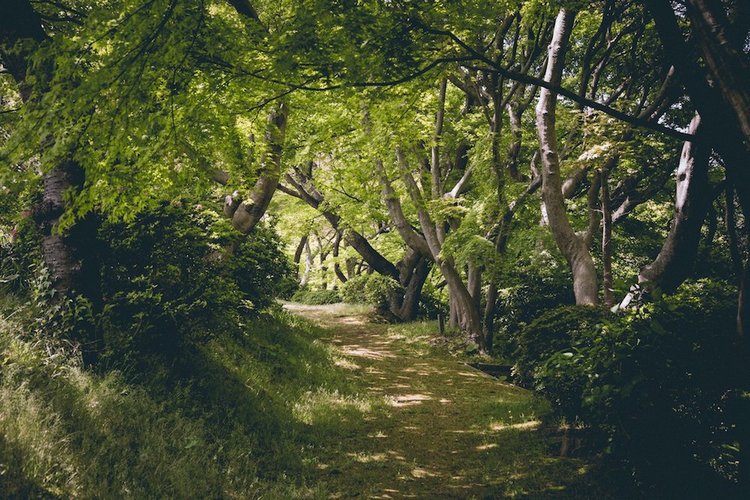 Япония моими глазами (часть 3. Китакюсю и Токио.)