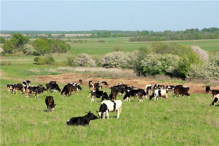 Субботний вояж. Заключительная часть