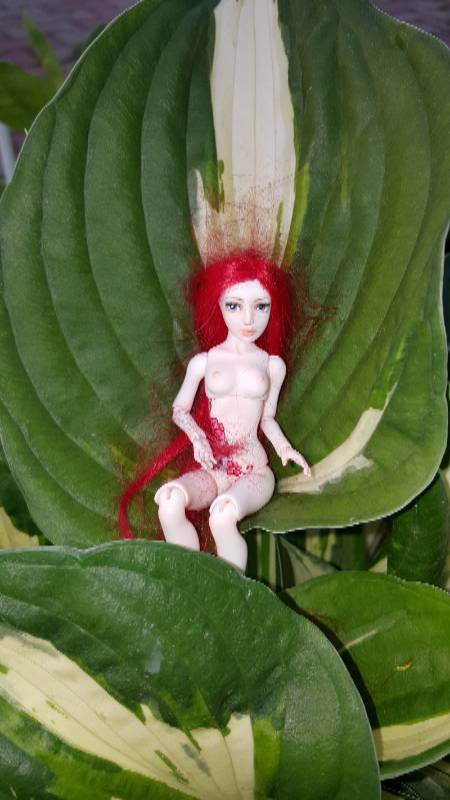 Катрина и волшебный лес - 4 (фото 5)