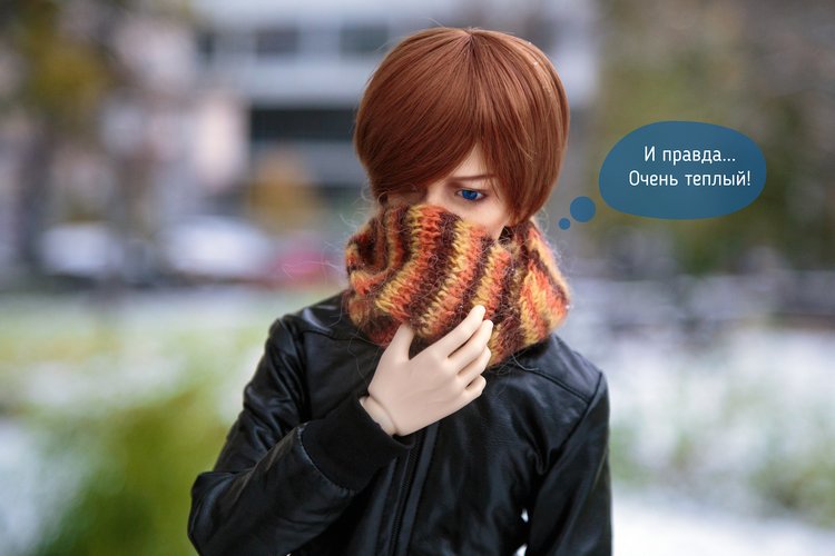 Гость — Фотоистории с куклами BJD (БЖД): сериалы