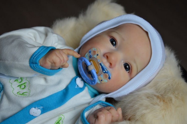 Еще одна Саксия... Еще один пацанчик (фото 2)