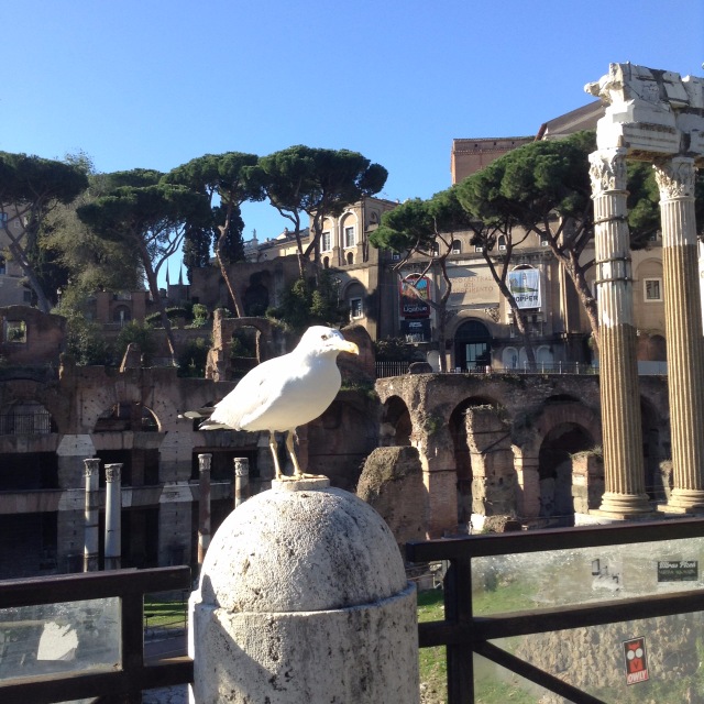 Приключения Минуш в Италии. Часть 7. Рим - Вечный вечноюный город