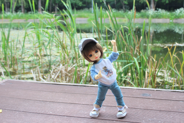 У Московского пруда. Или куда деваются утки (фото 3)