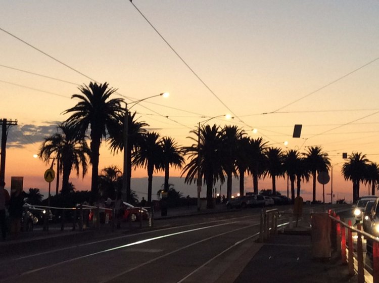 Осень в Австралии — Одежда и обувь для кукол BJD (БЖД): 1/3 (фото 8)