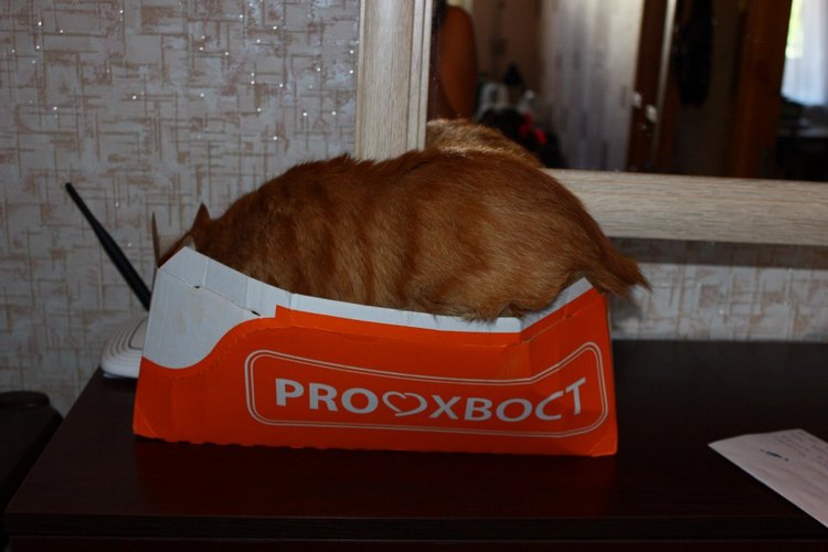 Сказочная девочка Алиса Classic Charm Lee Middleton doll