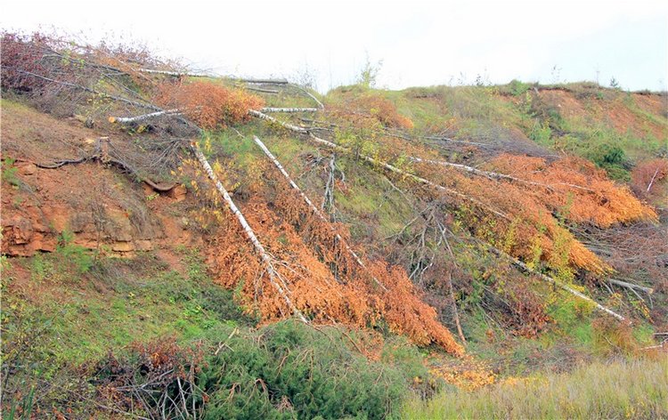 Тверской Водопад — Туризм и путешествия: фотоотчеты из поездок