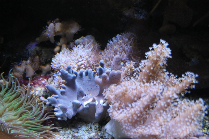 По Германии: зоопарк Лейпцига, часть 1