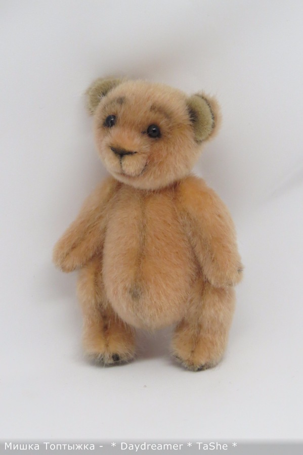 Позитивный мишка по имени Топтыжка (фото 4)