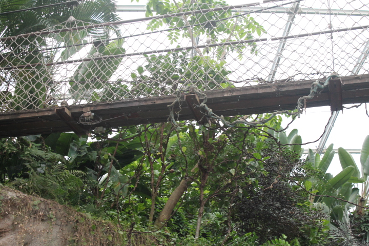 По Германии: зоопарк Лейпцига, часть 2