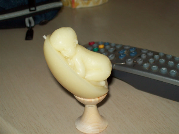 Свеча-малыш — Другие хобби и увлечения: сад (фото 4)