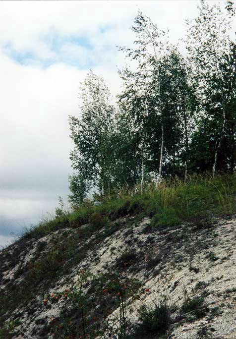 Белые горы Белогорья — Туризм и путешествия: фотоотчеты из поездок