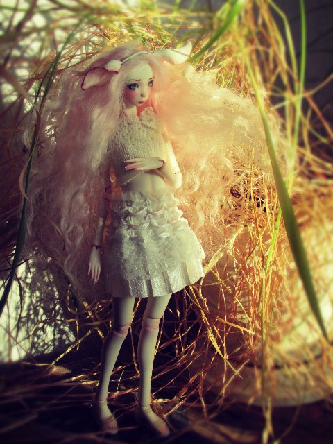 Шарнирные Куклы Варвянской Алины (фото 3)