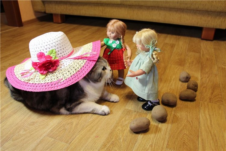 "Живая шляпа". Куклы Rosemarie Anna Muller (фото 4)