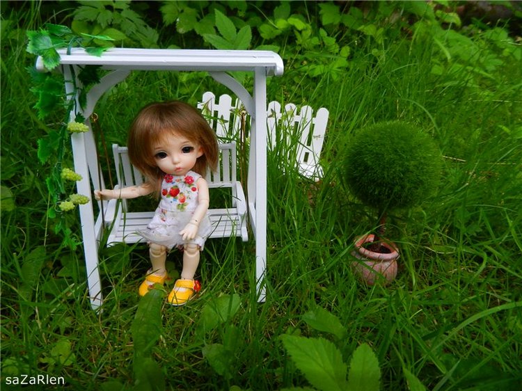 Варвара путешевственница (Литтлфи Анте) (фото 2)